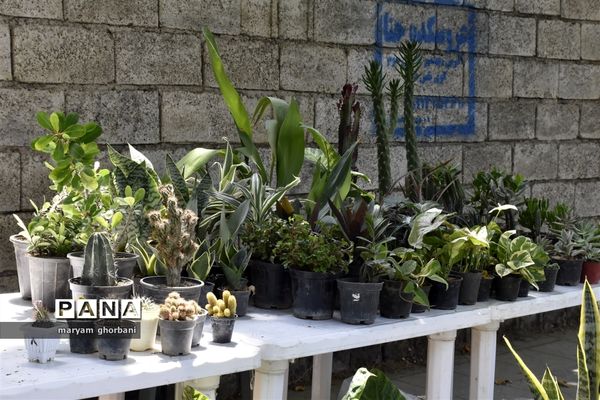 نمایشگاه دست سازه‌ها در بهنمیر