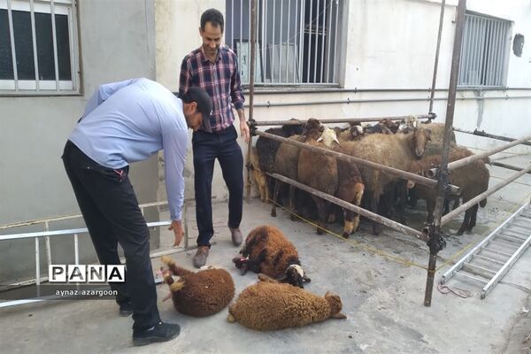 عید بندگی و عبودیت در قائمشهر