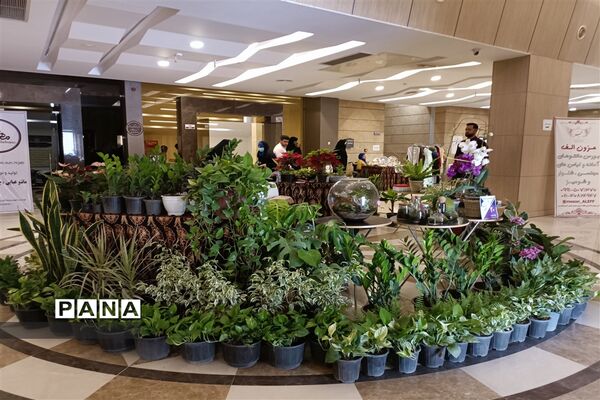 مراسم افتتاحیه سامانه جامع کسب و کار بانوان در باغ ملی شهرستان قدس