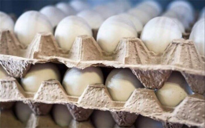 علت افزایش قیمت تخم‌مرغ اعلام شد
