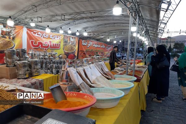 برگزاری جشنواره اقوام ایران زمین در شیراز