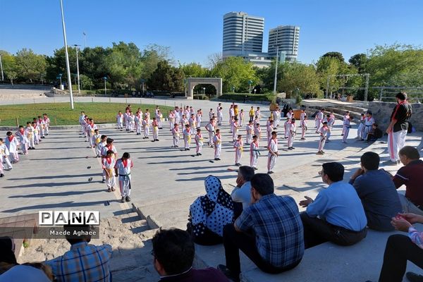 همایش پیاده‌روی و نمایش حرکات رزمی ورزشکاران استان خراسان‌ رضوی