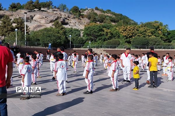 همایش پیاده‌روی و نمایش حرکات رزمی ورزشکاران استان خراسان‌ رضوی