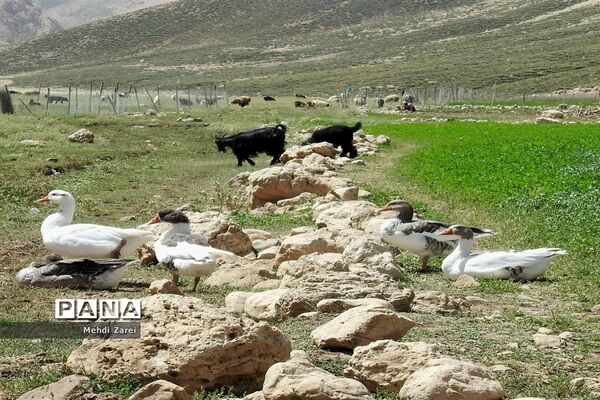 زیبایی‌های چلگرد و کوهرنگ