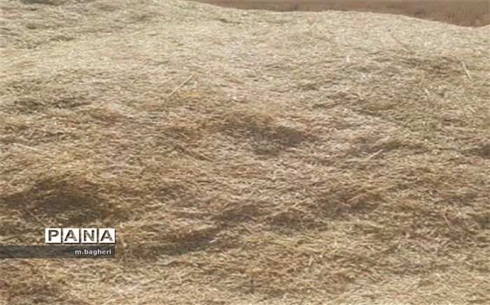 انبار‌های پر از آذوقه در شهرکاج