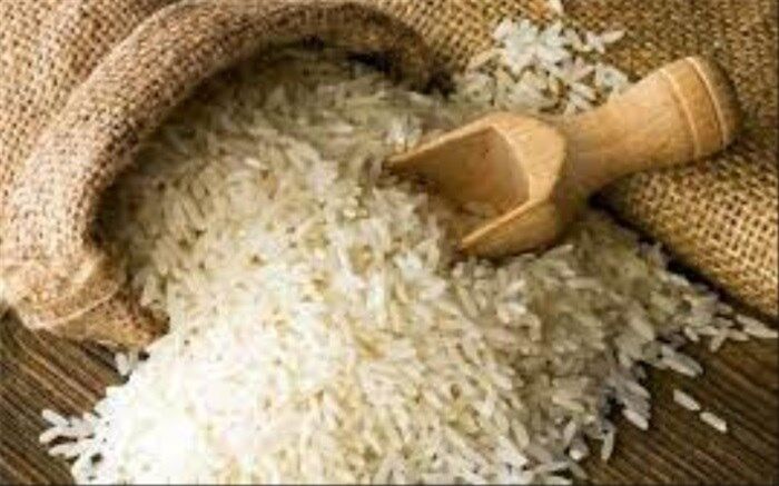 افزایش ۲۰ درصدی تولید برنج در کشور