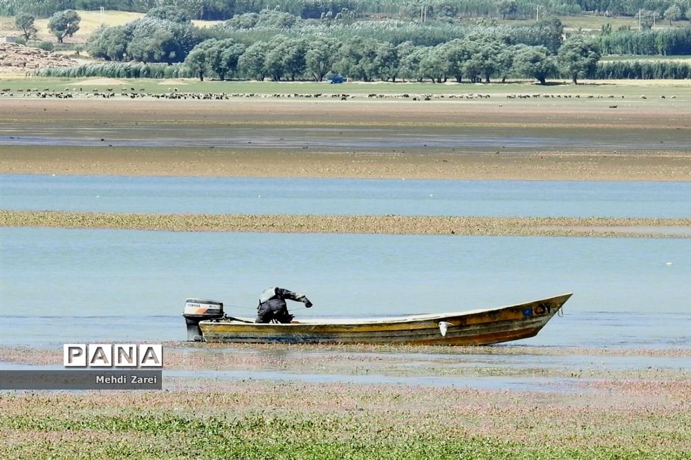 هنر آفرینی خداوند در طبیعت  تالاب چغاخور در چهار محال و بختیاری