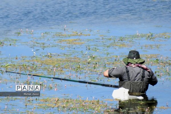 هنر آفرینی خداوند در طبیعت  تالاب چغاخور در چهار محال و بختیاری