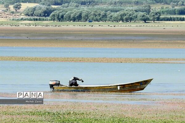 هنر آفرینی خداوند در طبیعت  تالاب چغاخور در چهار محال و بختیاری