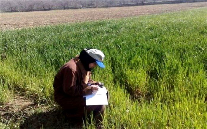 پایه هنرستان‌های کشاورزی باید دانش‌بنیان باشد