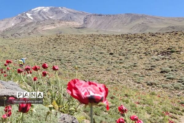 طبیعت زیبای قله دماوند