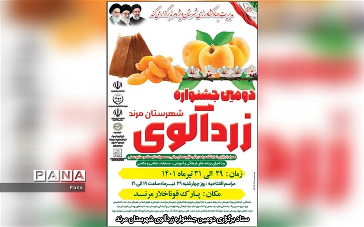 آغاز برداشت زردآلو از 2 هزار و 425 هکتار از باغات شهرستان مرند
