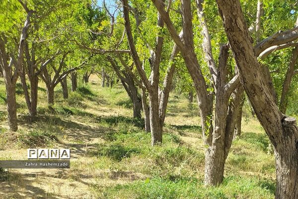 طبیعت وصف ناپذیر روستای آییه‌ورزان