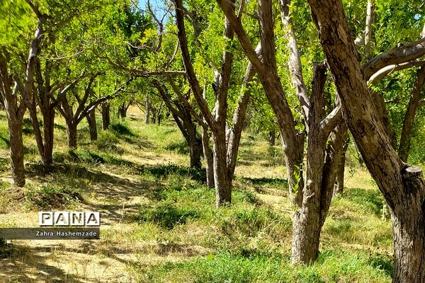 طبیعت وصف ناپذیر روستای آییه‌ورزان