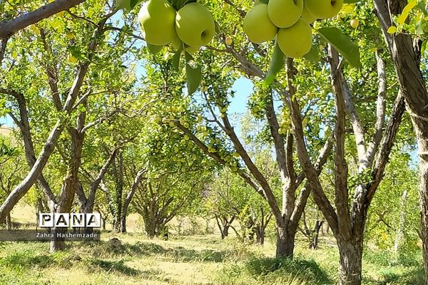 طبیعت وصف ناپذیر روستای آییه‌ورزان