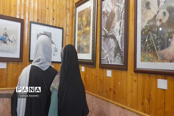 نمایشگاه هنرهای تجسمی در ساری