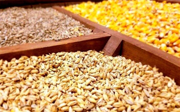 مشکلات واردکنندگان نهاده‌های دامی بررسی شود
