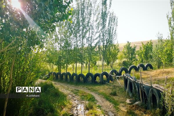 طبیعت تابستانی روستای دره بید شهرستان کوهرنگ