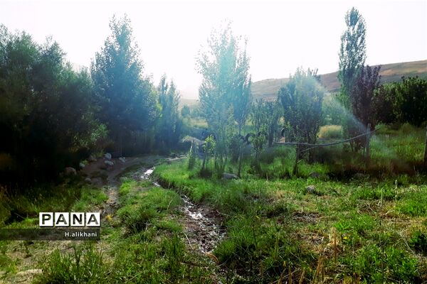 طبیعت تابستانی روستای دره بید شهرستان کوهرنگ