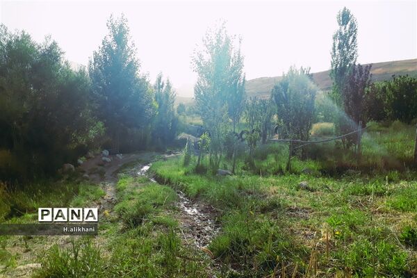 طبیعت تابستانی روستای دره بید شهرستان کوهرنگ