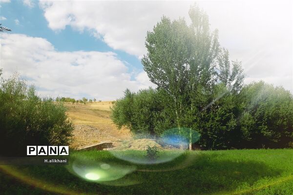 طبیعت تابستانی روستای دره بید شهرستان کوهرنگ