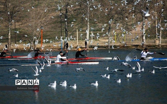 معرفی برترین‌های مسابقات قایقرانی قهرمانی دانشجویان کشور و انتخابی تیم ملی
