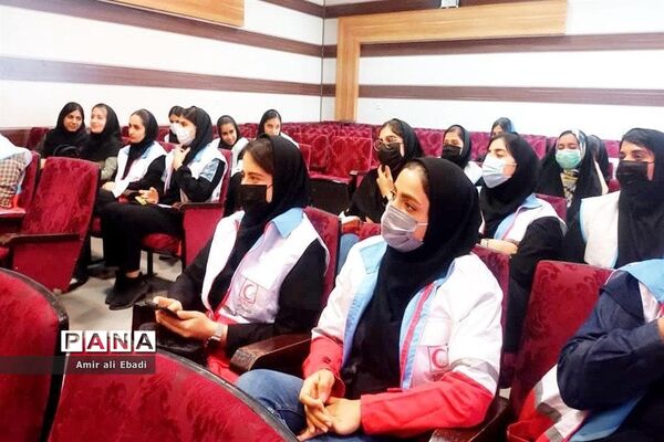 کارگاه آموزشی جمعیت هلال احمر ساری