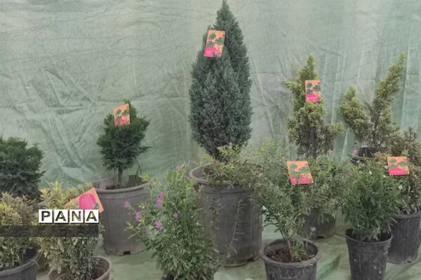 ‌نمایشگاه اسوه حوزه‌ مقاومت بسیج چمستان