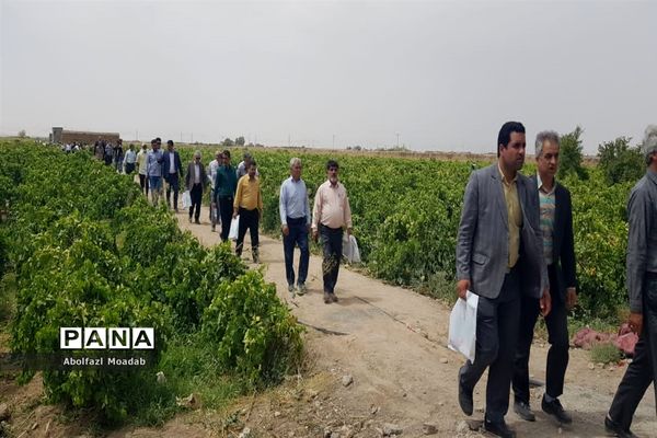 برگزاری مراسم روز مزرعه در خلیل‌آباد