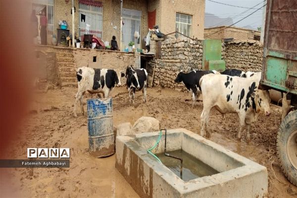 امداد‌رسانی به مردم سیل‌زده روستای بارده شهرستان بن