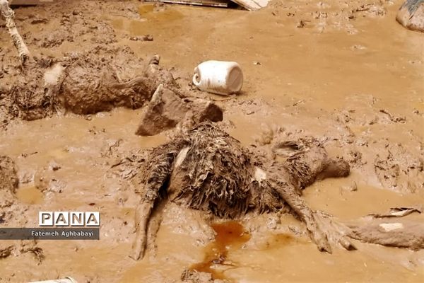 امداد‌رسانی به مردم سیل‌زده روستای بارده شهرستان بن