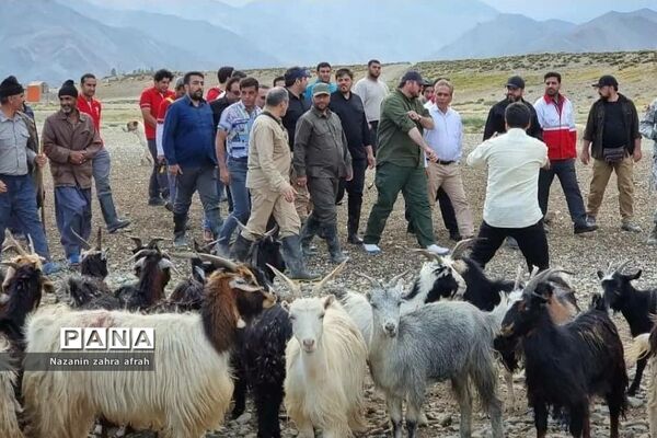 بازدید هوایی استاندار تهران از عشایر سیل‌زده  دشت لار رودهن