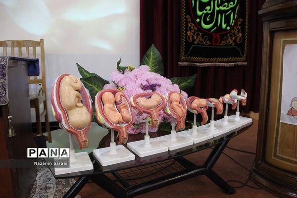 همایش تخصصی جمعیت با عنوان نجات فرشته‌ها در اسلامشهر