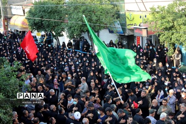 شهدای مدافع حرم، میهمان خیل عزاداران حسینی در گلوگاه