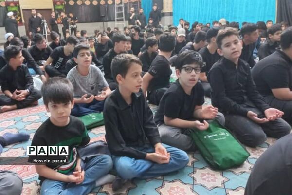 مراسم سوگواری احلی من العسل در شهرستان ملارد