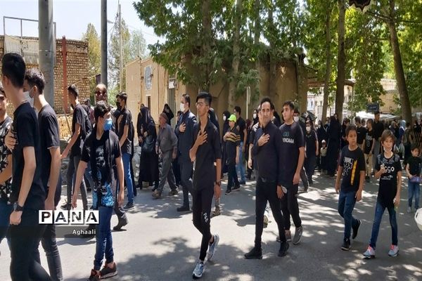 برگزاری مراسم سوگواره احلی من العسل در شهرستان نطنز