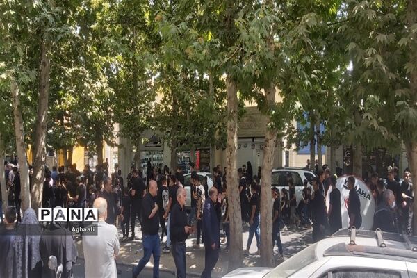 برگزاری مراسم سوگواره احلی من العسل در شهرستان نطنز