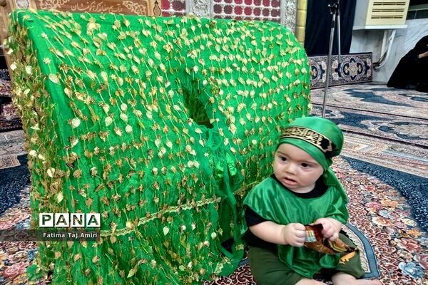 همایش شیرخوارگان حسینی در بوشهر