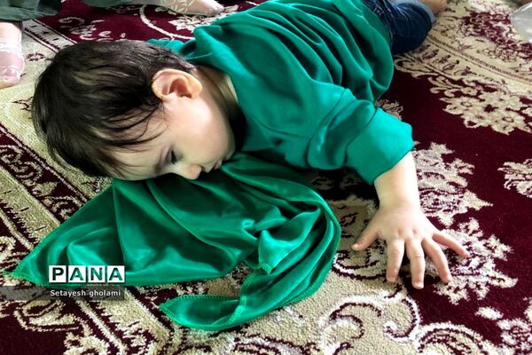 همایش شیرخوارگان حسینی در جویبار
