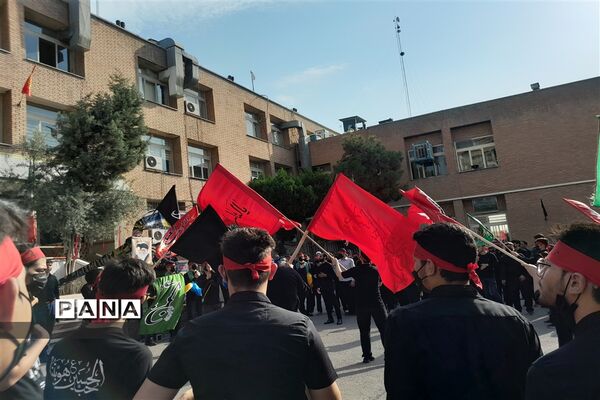 سوگواره احلی من العسل