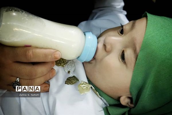 سوگواره شیرخوارگان حسینی(ع) در حرم حضرت معصومه(س)-2