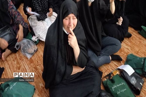 تشییع پیکر دو شهید مدافعان حرم در محمودآباد