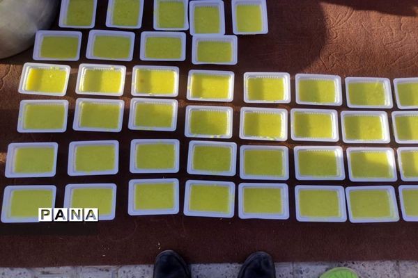 طبخ و توزیع شله زرد نذری در شهرستان زیرکوه