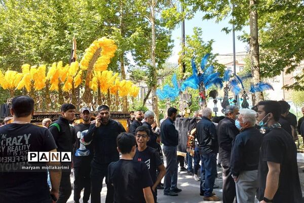 اجتماع عزاداران دماوند در روز تاسوعای حسینی
