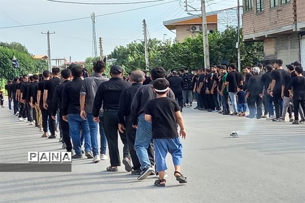 مراسم عزاداری روز تاسوعا در روستای حلمسر میاندورود