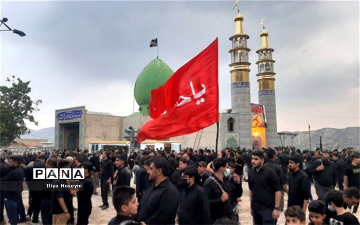 عزاداران سیدالشهدا عاشقانه خدمت می‌کنند
