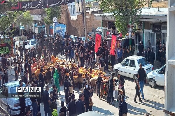 برگزاری عزاداری روز عاشورا در شهرستان بن