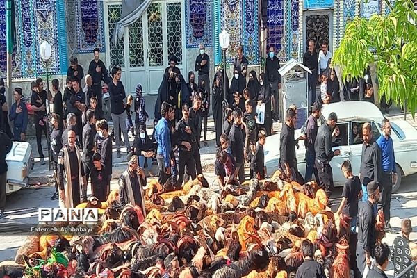 برگزاری عزاداری روز عاشورا در شهرستان بن