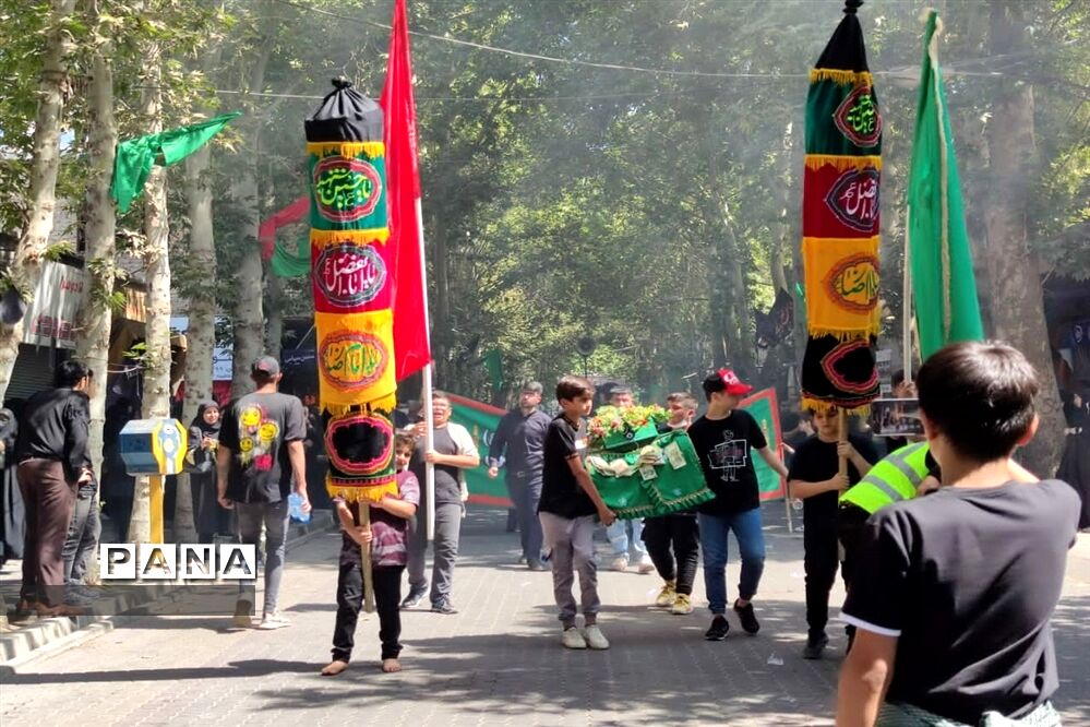 برگزاری عزاداری روز عاشورای حسینی در شهرستان نظر آباد