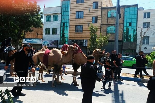 مراسم عزاداری عاشورای حسینی در شهرستان بهارستان